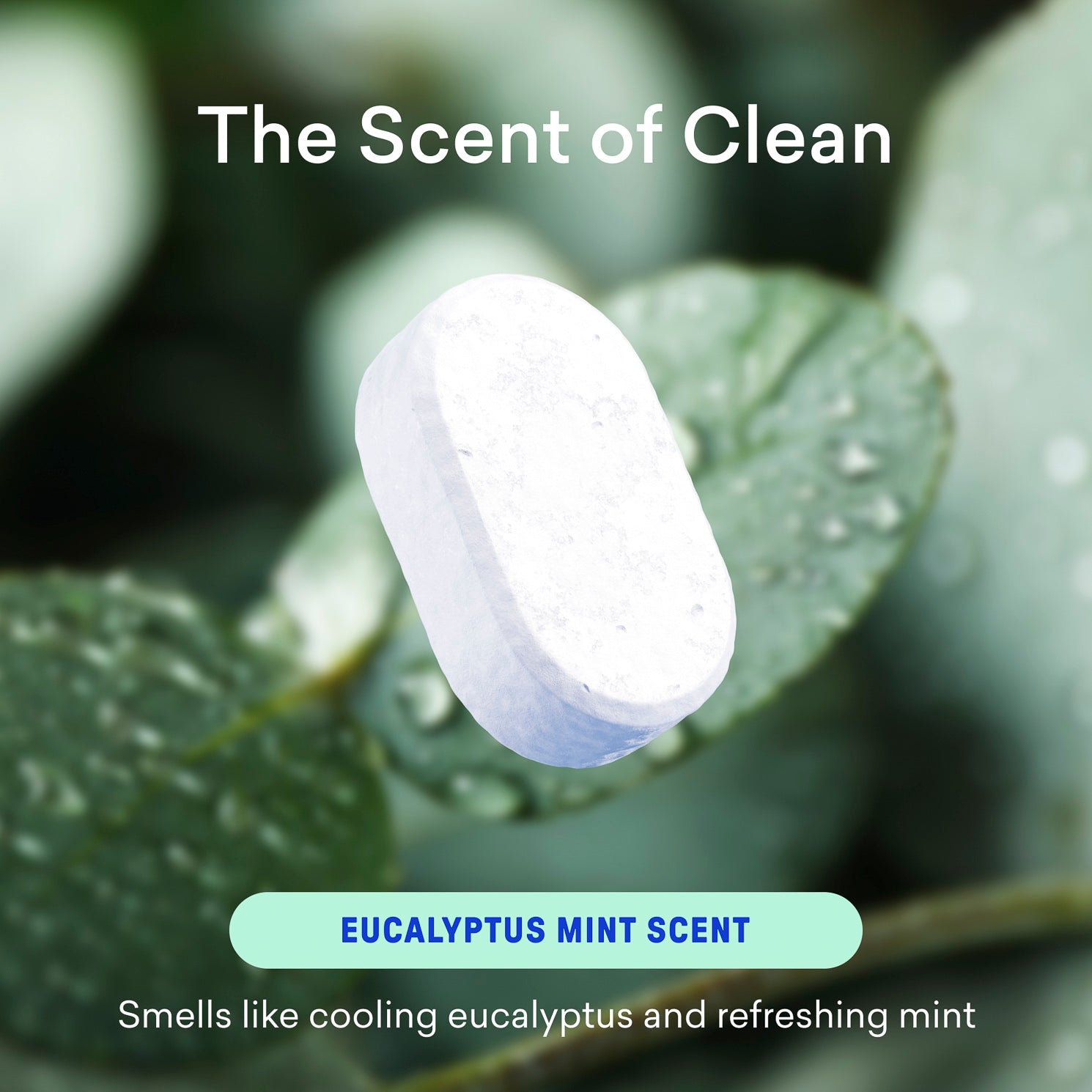 Bathroom Cleaner Tablet Refills