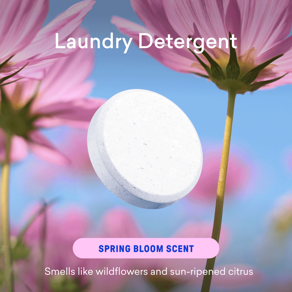 Dishwasher & Laundry Detergent Kit
