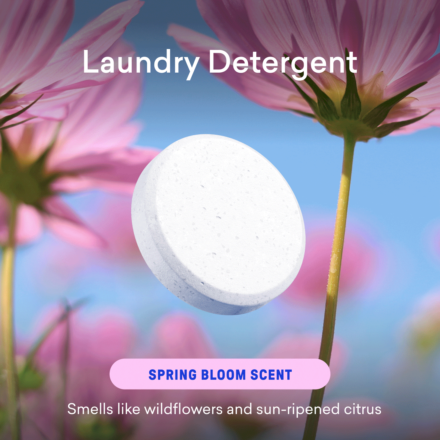 Laundry Detergent & Toilet Bowl Cleaner Kit
