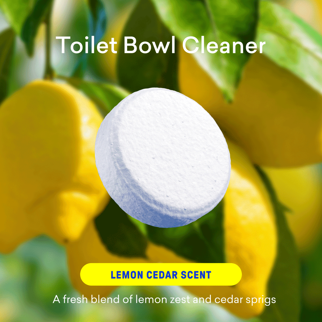 Laundry Detergent & Toilet Bowl Cleaner Kit