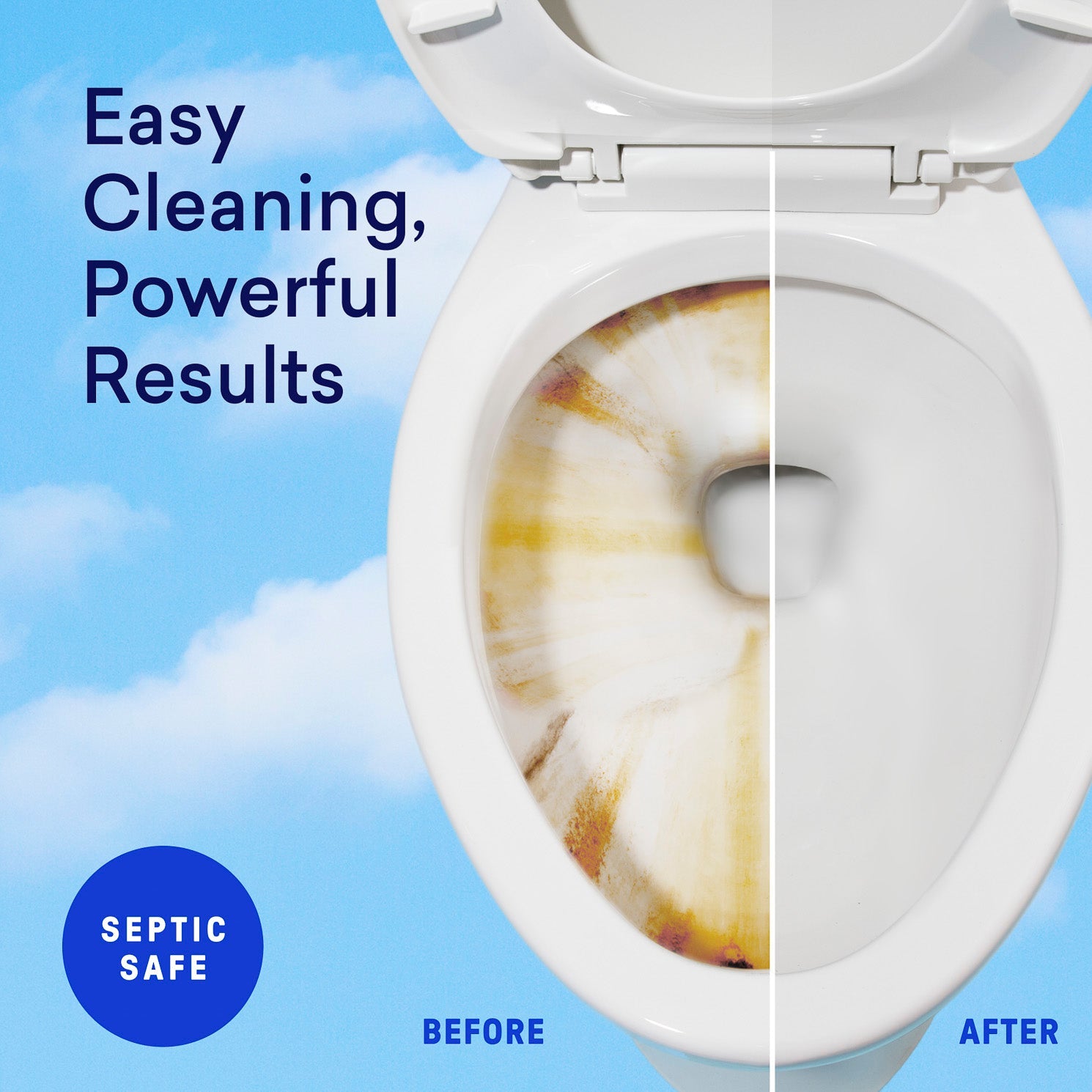 1 Year of Toilet Bowl Cleaner