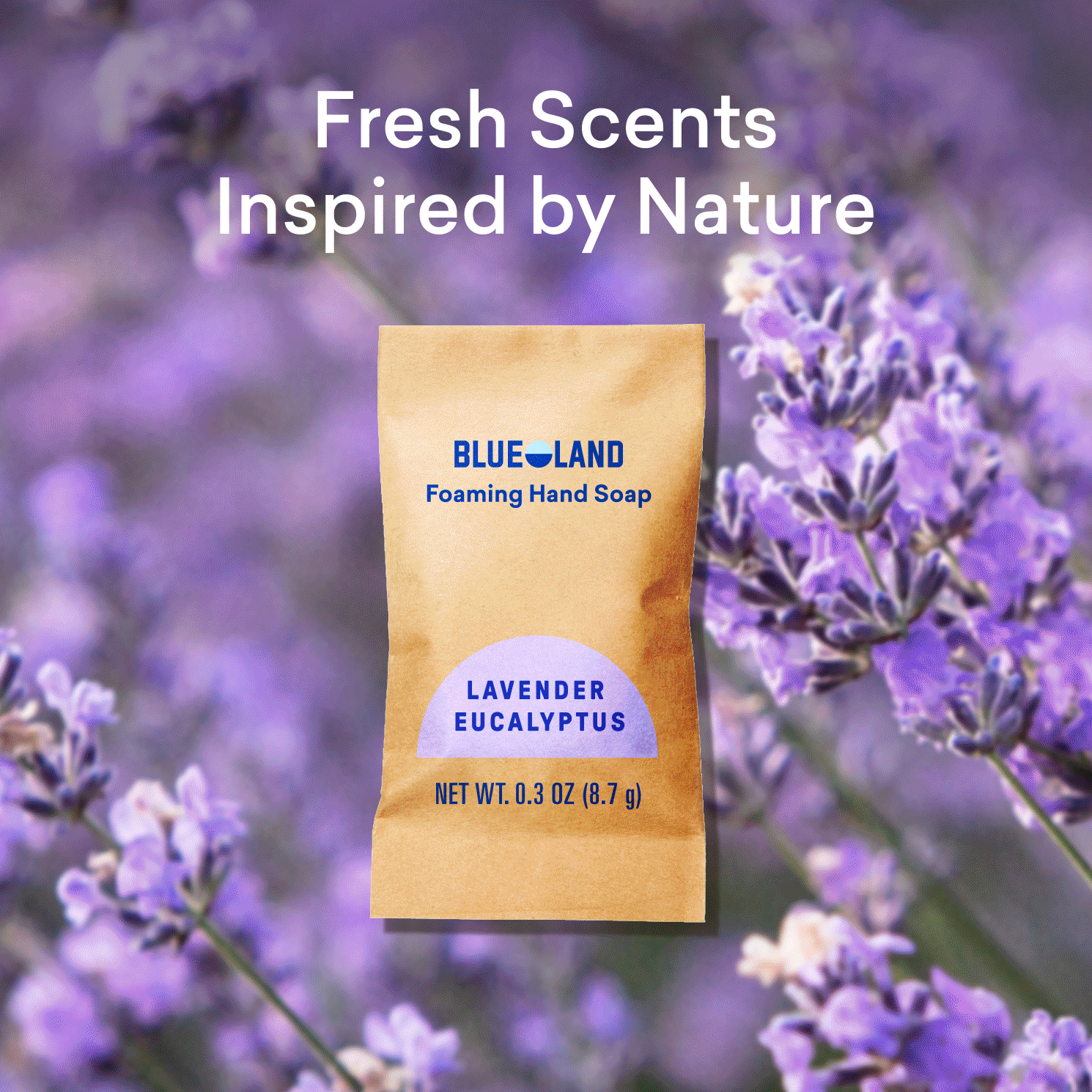 Hand Soap Starter 2-Pack